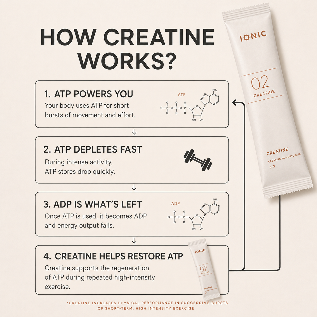 02 Creatine — Creatine Monohydrate